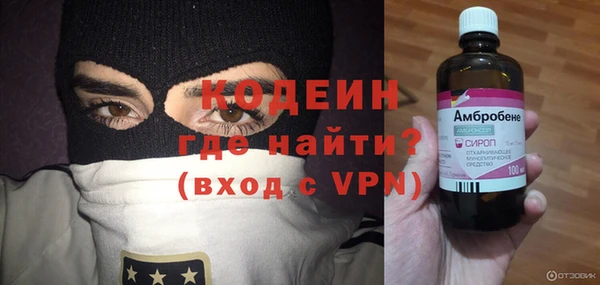 индика Порхов