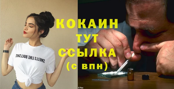 ПСИЛОЦИБИНОВЫЕ ГРИБЫ Сосновка