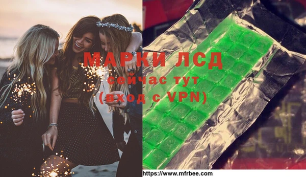 индика Порхов