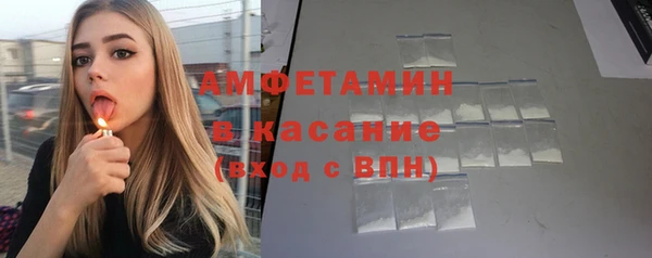 индика Порхов