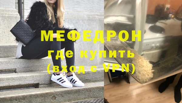 индика Порхов