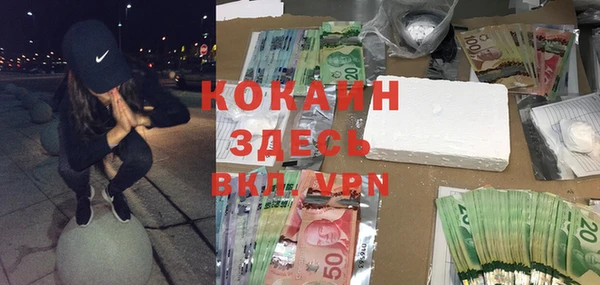 ПСИЛОЦИБИНОВЫЕ ГРИБЫ Сосновка