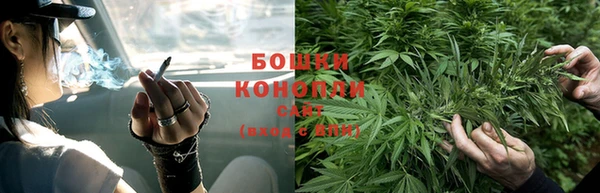 индика Порхов