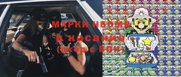 ПСИЛОЦИБИНОВЫЕ ГРИБЫ Сосновка
