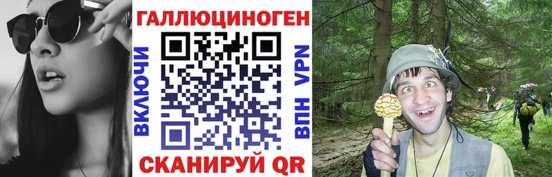 Галлюциногенные грибы Magic Shrooms  купить закладку  Орск 