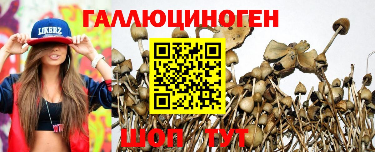 Галлюциногенные грибы Cubensis Орск