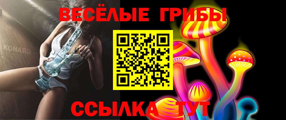 Орск  Галлюциногенные грибы прущие грибы  Галлюциногенные грибы прущие грибы  Вход с VPN 