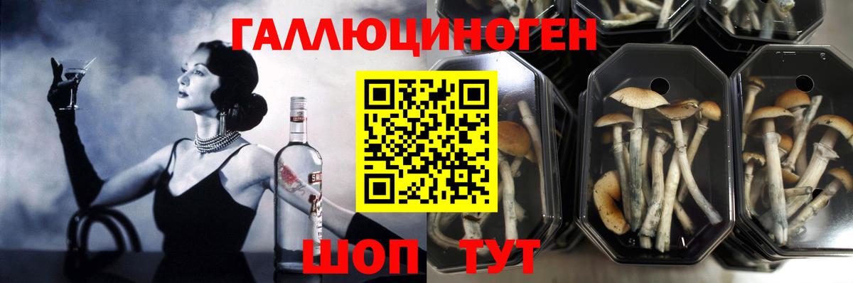 Галлюциногенные грибы MAGIC MUSHROOMS Орск